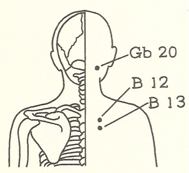 back of a person's head showing meridian point GB 20